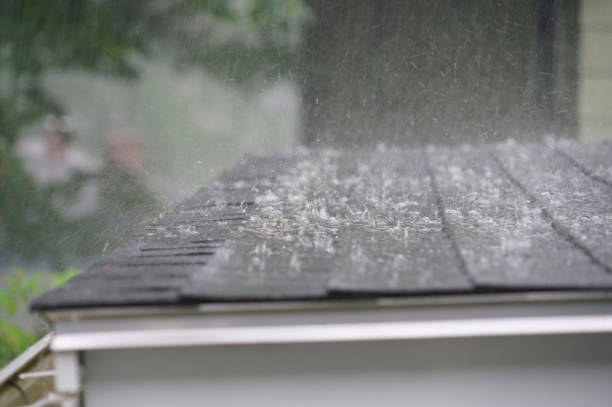 Best Rubber Roofing (EPDM, TPO)  in Battle Creek, MI