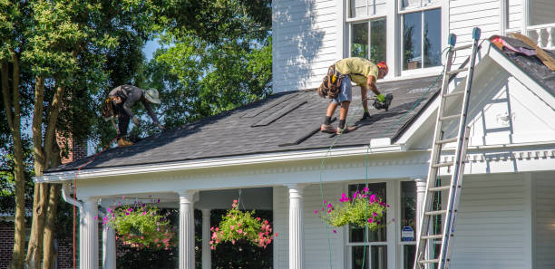 Best Roof Moss and Algae Removal  in Battle Creek, MI